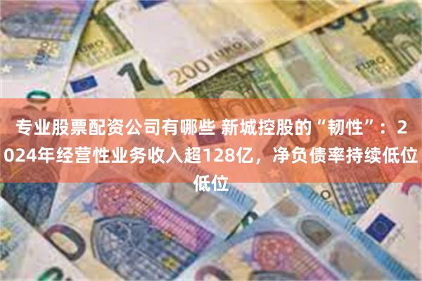 专业股票配资公司有哪些 新城控股的“韧性”：2024年经营性业务收入超128亿，净负债率持续低位