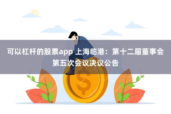 可以杠杆的股票app 上海临港：第十二届董事会第五次会议决议公告