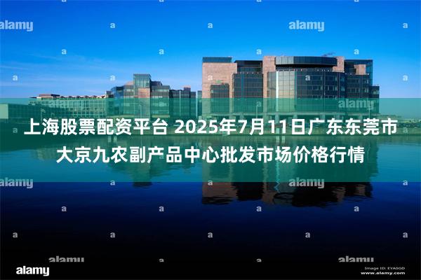 上海股票配资平台 2025年7月11日广东东莞市大京九农副产品中心批发市场价格行情
