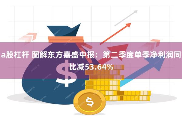 a股杠杆 图解东方嘉盛中报：第二季度单季净利润同比减53.64%