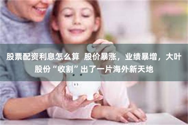 股票配资利息怎么算  股价暴涨，业绩暴增，大叶股份“收割”出了一片海外新天地