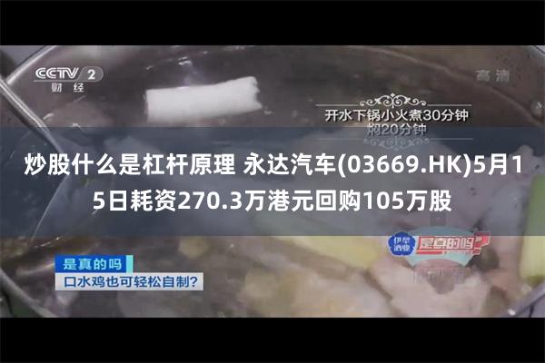炒股什么是杠杆原理 永达汽车(03669.HK)5月15日耗资270.3万港元回购105万股