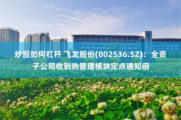 炒股如何杠杆 飞龙股份(002536.SZ)：全资子公司收到热管理模块定点通知函