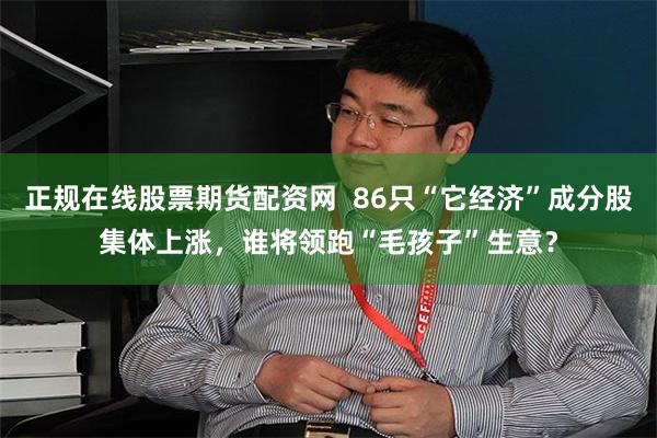 正规在线股票期货配资网  86只“它经济”成分股集体上涨，谁将领跑“毛孩子”生意？