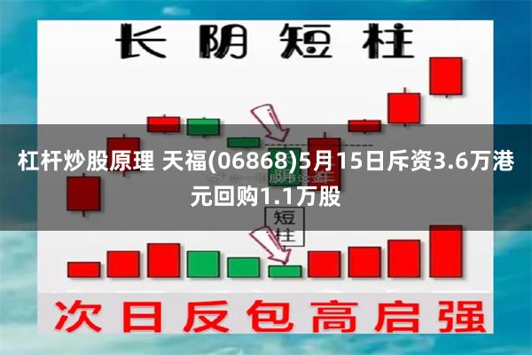 杠杆炒股原理 天福(06868)5月15日斥资3.6万港元回购1.1万股