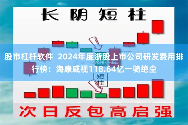 股市杠杆软件  2024年度浙股上市公司研发费用排行榜：海康威视118.64亿一骑绝尘