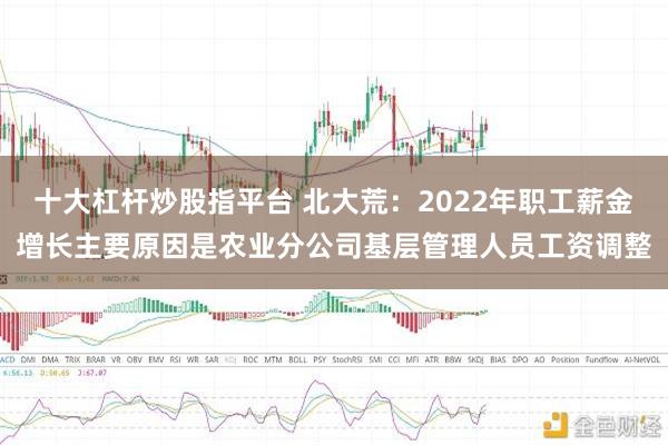 十大杠杆炒股指平台 北大荒：2022年职工薪金增长主要原因是农业分公司基层管理人员工资调整