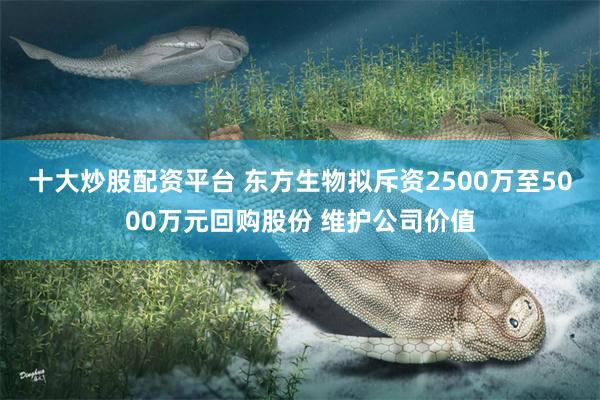 十大炒股配资平台 东方生物拟斥资2500万至5000万元回购股份 维护公司价值