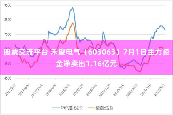 股票交流平台 禾望电气（603063）7月1日主力资金净卖出1.16亿元