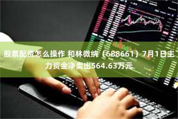 股票配资怎么操作 和林微纳（688661）7月1日主力资金净卖出564.63万元