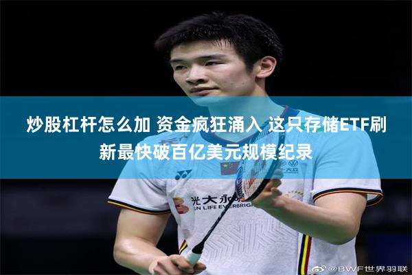 炒股杠杆怎么加 资金疯狂涌入 这只存储ETF刷新最快破百亿美元规模纪录