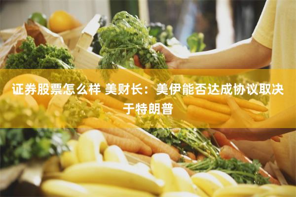 证券股票怎么样 美财长：美伊能否达成协议取决于特朗普