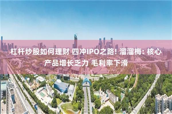 杠杆炒股如何理财 四冲IPO之路! 溜溜梅: 核心产品增长乏力 毛利率下滑