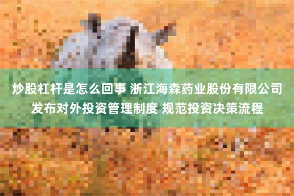 炒股杠杆是怎么回事 浙江海森药业股份有限公司发布对外投资管理制度 规范投资决策流程