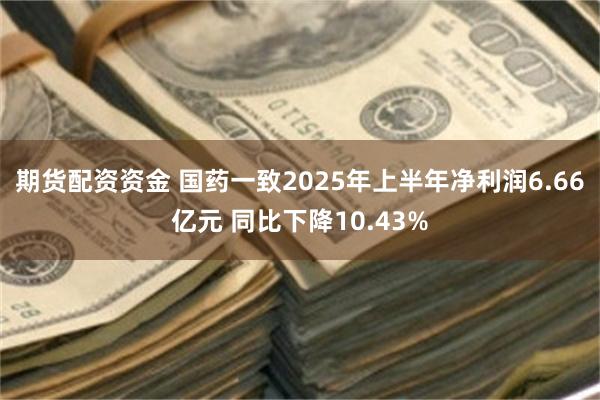 期货配资资金 国药一致2025年上半年净利润6.66亿元 同比下降10.43%