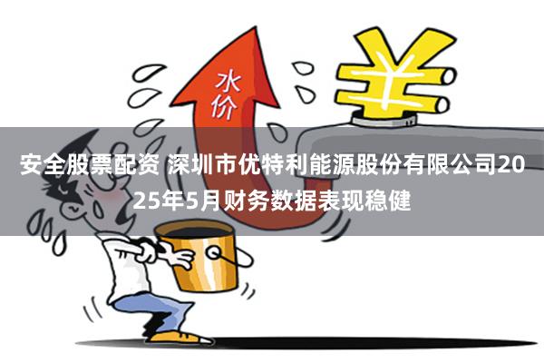 安全股票配资 深圳市优特利能源股份有限公司2025年5月财务数据表现稳健