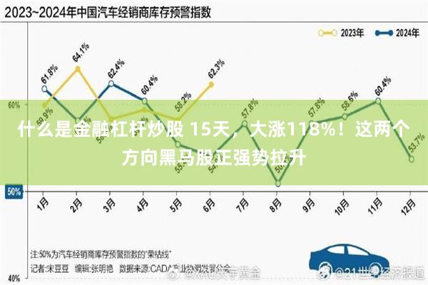 什么是金融杠杆炒股 15天，大涨118%！这两个方向黑马股正强势拉升