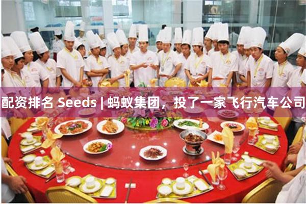 配资排名 Seeds | 蚂蚁集团，投了一家飞行汽车公司