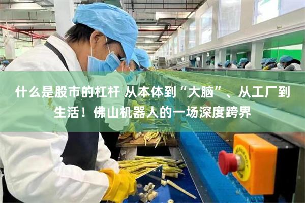 什么是股市的杠杆 从本体到“大脑”、从工厂到生活！佛山机器人的一场深度跨界