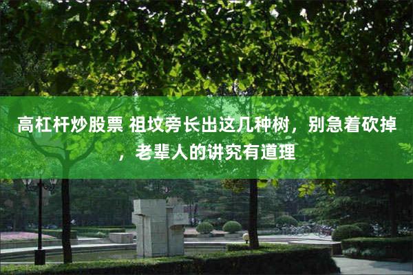 高杠杆炒股票 祖坟旁长出这几种树，别急着砍掉，老辈人的讲究有道理
