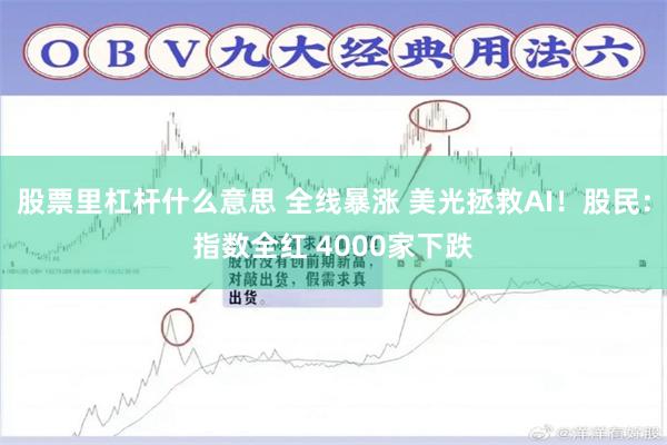 股票里杠杆什么意思 全线暴涨 美光拯救AI!股民:指数全红 4000家下跌