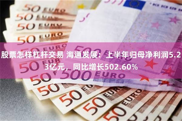 股票怎样杠杆交易 海通发展：上半年归母净利润5.23亿元，同比增长502.60%