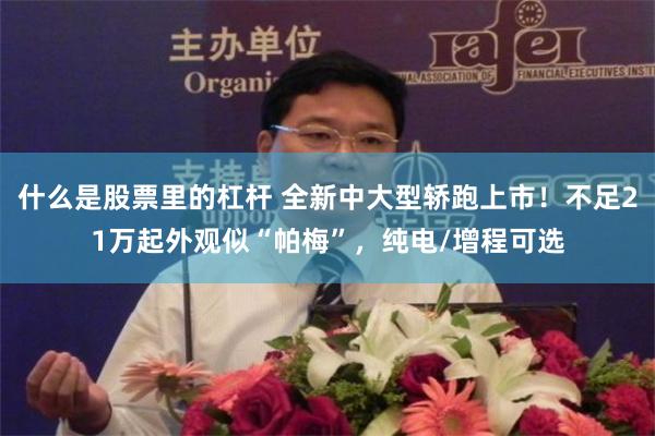 什么是股票里的杠杆 全新中大型轿跑上市！不足21万起外观似“帕梅”，纯电/增程可选
