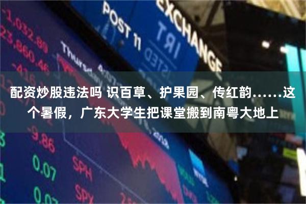 配资炒股违法吗 识百草、护果园、传红韵……这个暑假，广东大学生把课堂搬到南粤大地上
