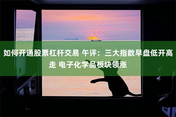 如何开通股票杠杆交易 午评：三大指数早盘低开高走 电子化学品板块领涨